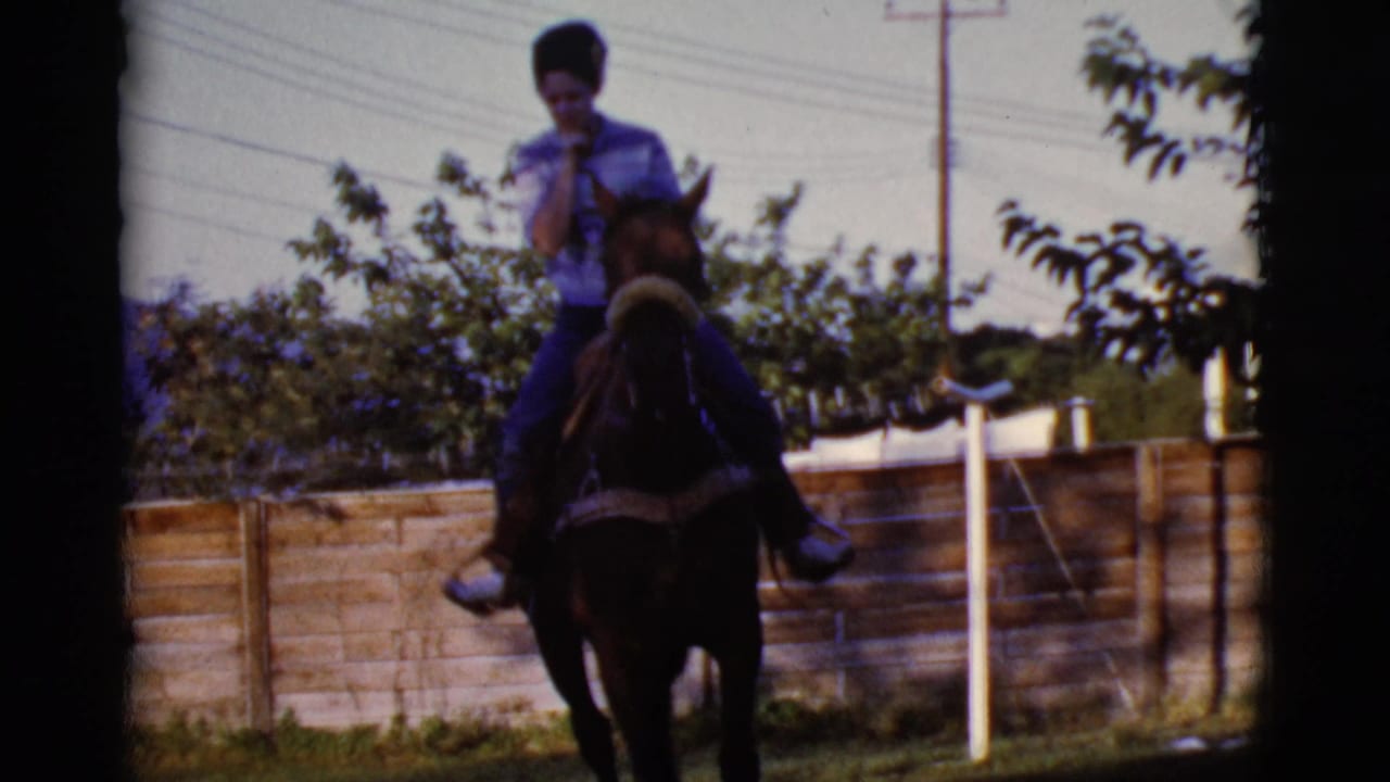 Woman seated on a dark horse near a wooden fence with trees and utility lines behind her.