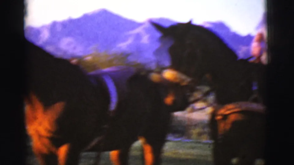 A dark horse fills the foreground while another rider is partly visible near the edge, with mountains behind the rural Arizona property.
