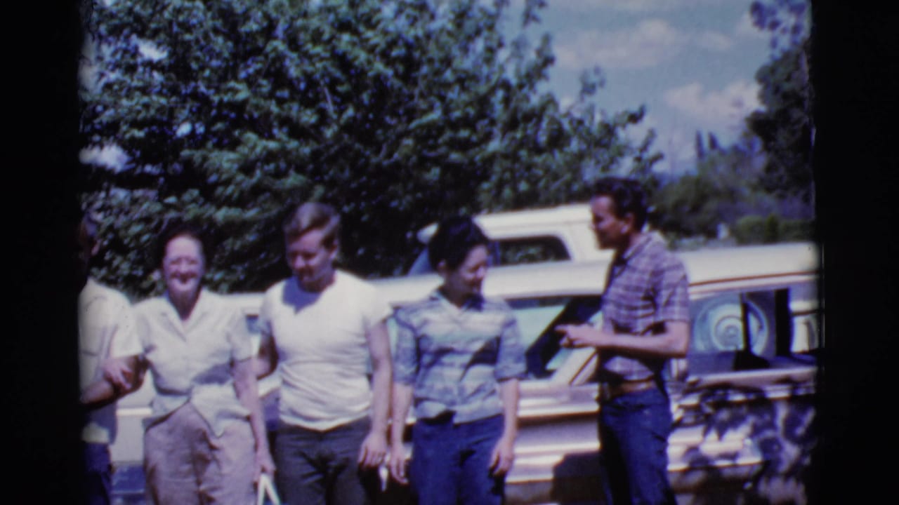 Adults standing and walking near parked cars under trees on a sunny day.
