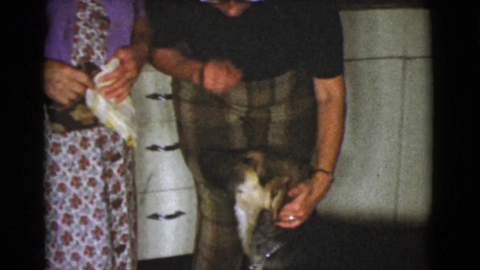 In the Cottonwood kitchen, an adult in plaid pants bends toward a medium-sized dog near white cabinets while another adult stands close by.