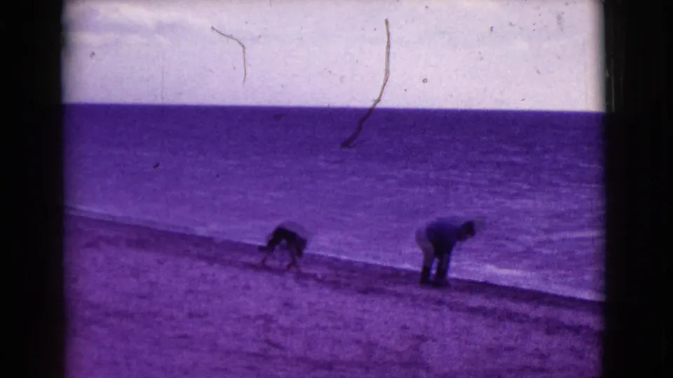 Purple-shifted 8mm frame of a person bending near a dog on a shoreline in the Cottonwood, Arizona clip.