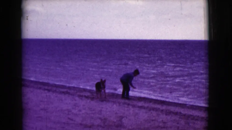A dog and a casually dressed person stand on a beach at the water's edge in this 1968 8mm home-movie frame.