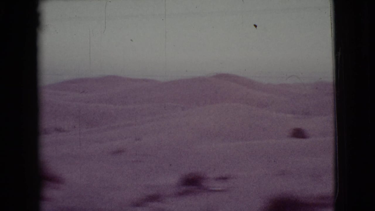 Soft desert dunes and scrub under a hazy sky on faded 8mm film.