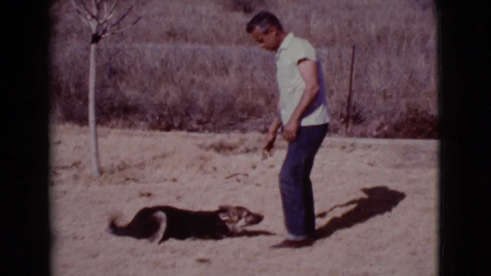 A man stands over a German Shepherd lying on sandy ground in a dry Cottonwood, Arizona outdoor setting, with a sparse tree nearby.