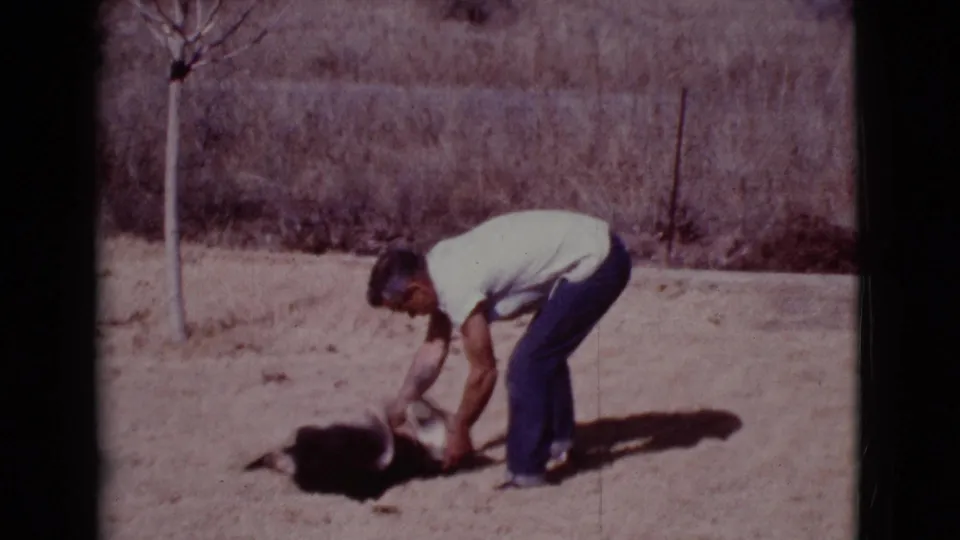The man bends down to pet or handle the German Shepherd on sandy ground, with dry brush and a thin tree in the background.