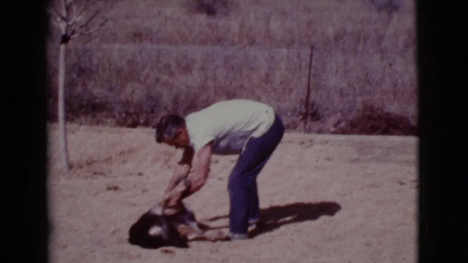 In the final frame, the man remains bent over the German Shepherd, continuing the casual play or petting moment in bright desert sunlight.