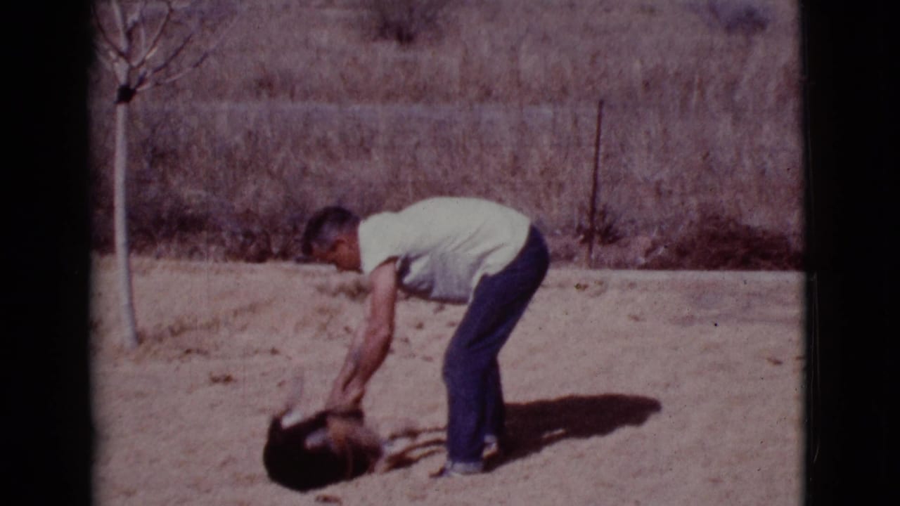 Man bends over a small dog on a dusty sunny lot.