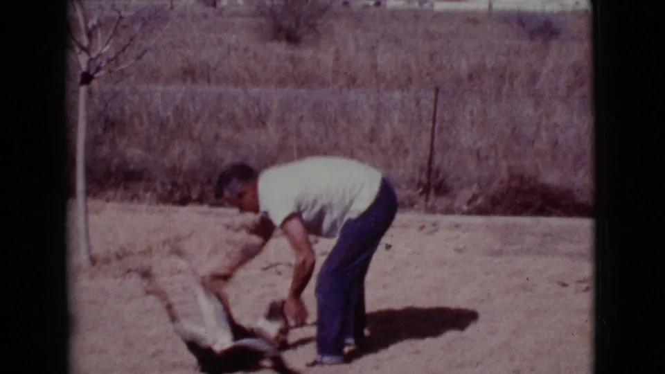 The small dog rolls onto its back while the man leans down in a dry Cottonwood lot.