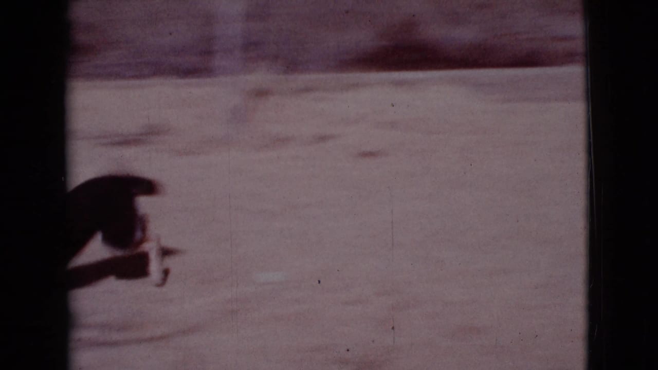 Black-and-white dog partly silhouetted while running across sandy ground.