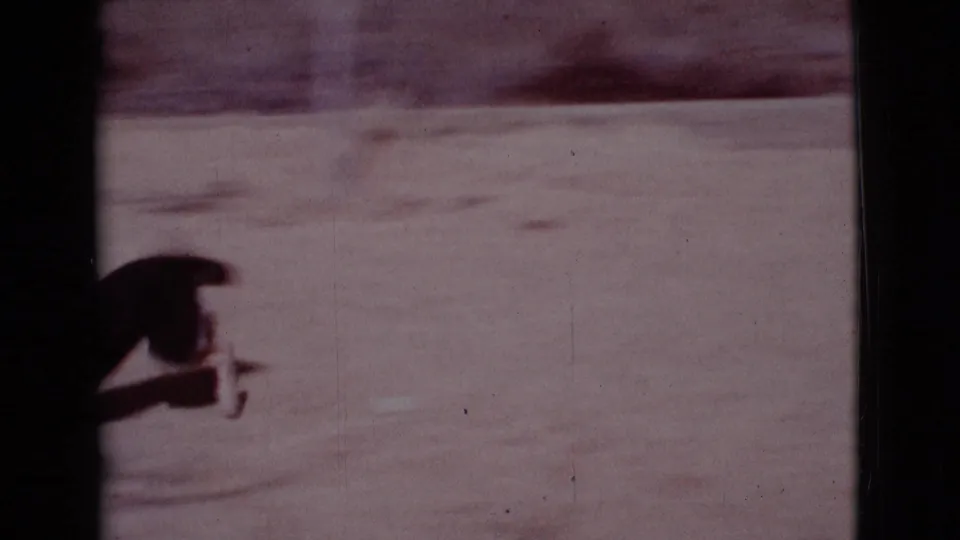 In 1968 Cottonwood, Arizona home-movie footage, a black-and-white dog runs across sunlit sandy ground with heavy motion blur.