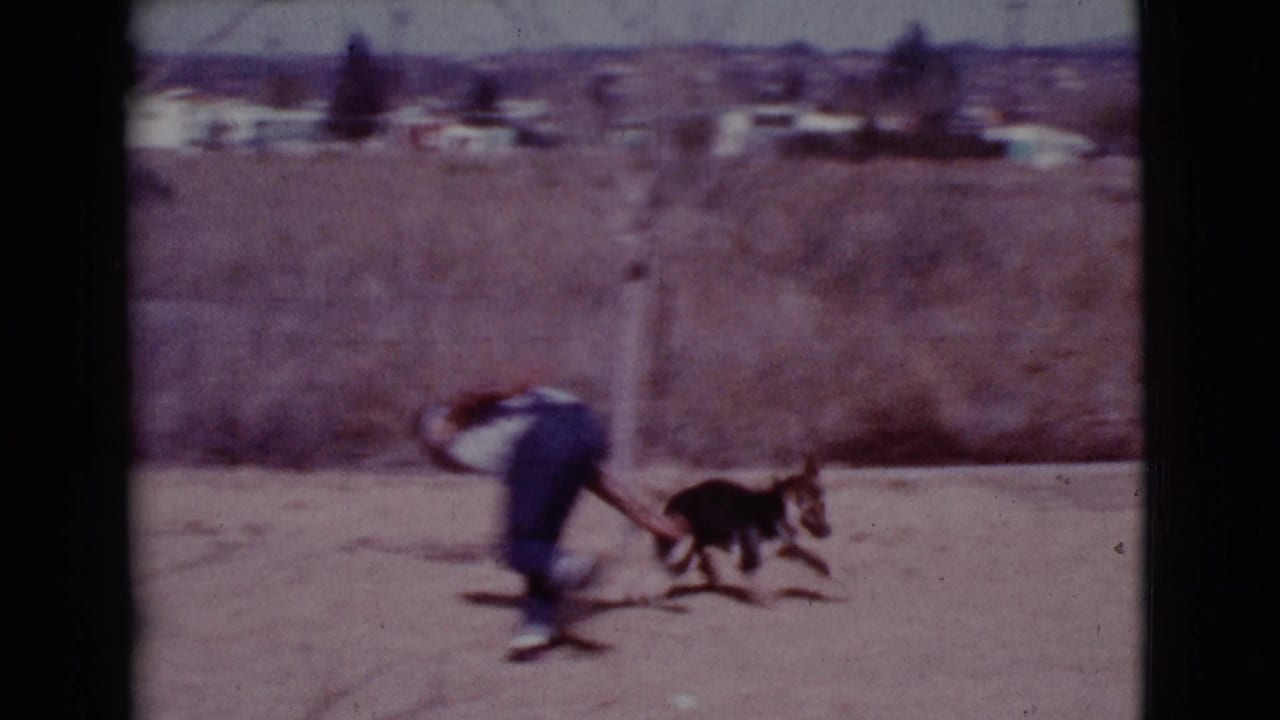 Young man bends toward a German Shepherd in a dusty open yard.