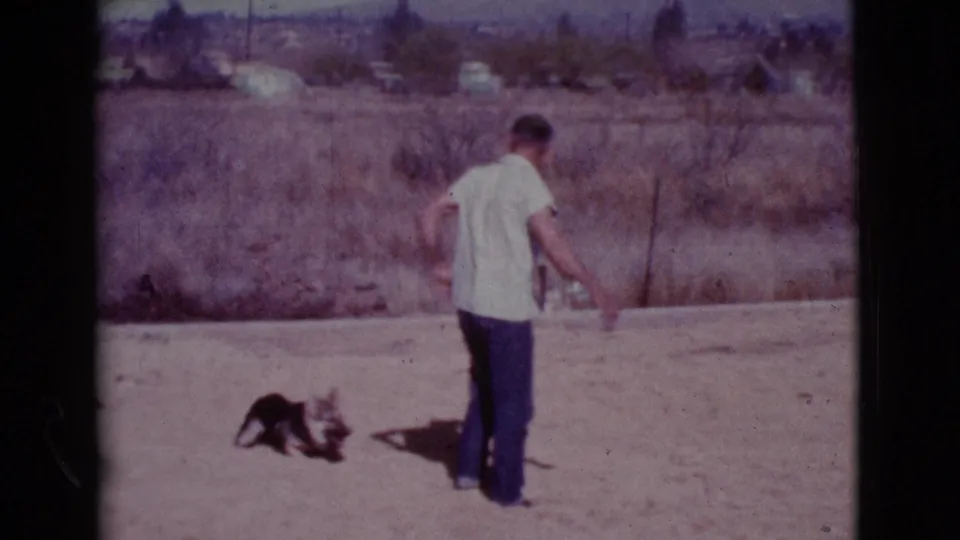 The 1968 Cottonwood home movie shows the man facing away as the black-and-white dog lowers itself on the dusty field.