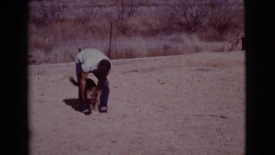 The man bends toward the black-and-white dog in this 1968 Cottonwood, Arizona 8mm home-movie frame.