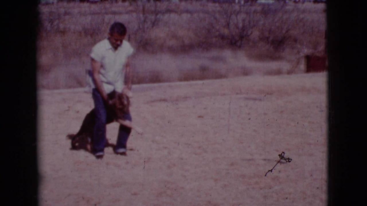 Man bends toward a German Shepherd in a dusty outdoor yard.