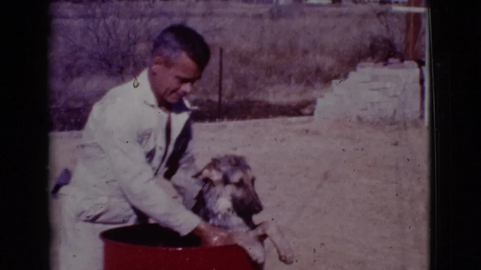 A man washes a German Shepherd in a red metal drum in a dusty Cottonwood yard, 1968.