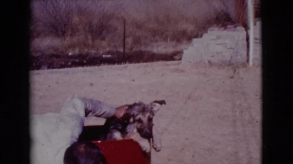 At the end of the clip, the man reaches over the red drum while the German Shepherd faces outward in the yard.