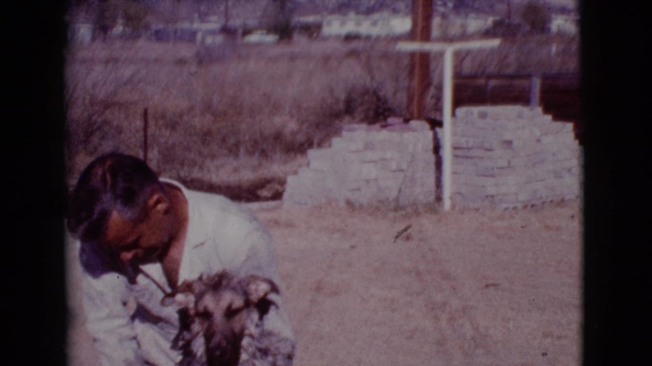 Man in a white shirt crouches beside a German Shepherd in a sunny dry yard.
