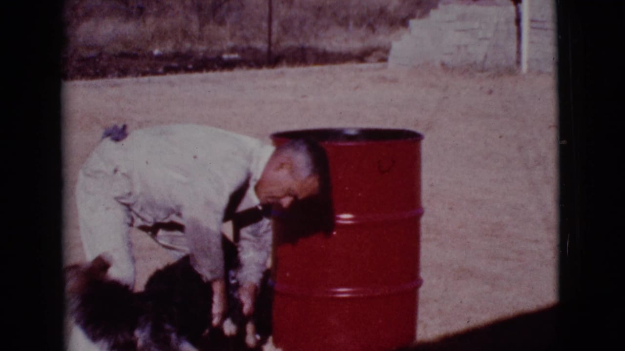 Man bends beside a German Shepherd near a red metal drum on dirt ground.