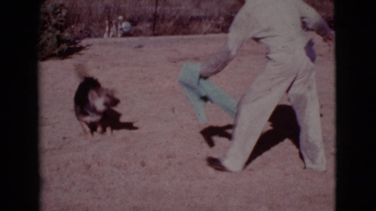 Man in light coveralls runs across a sandy yard toward a black and tan dog.