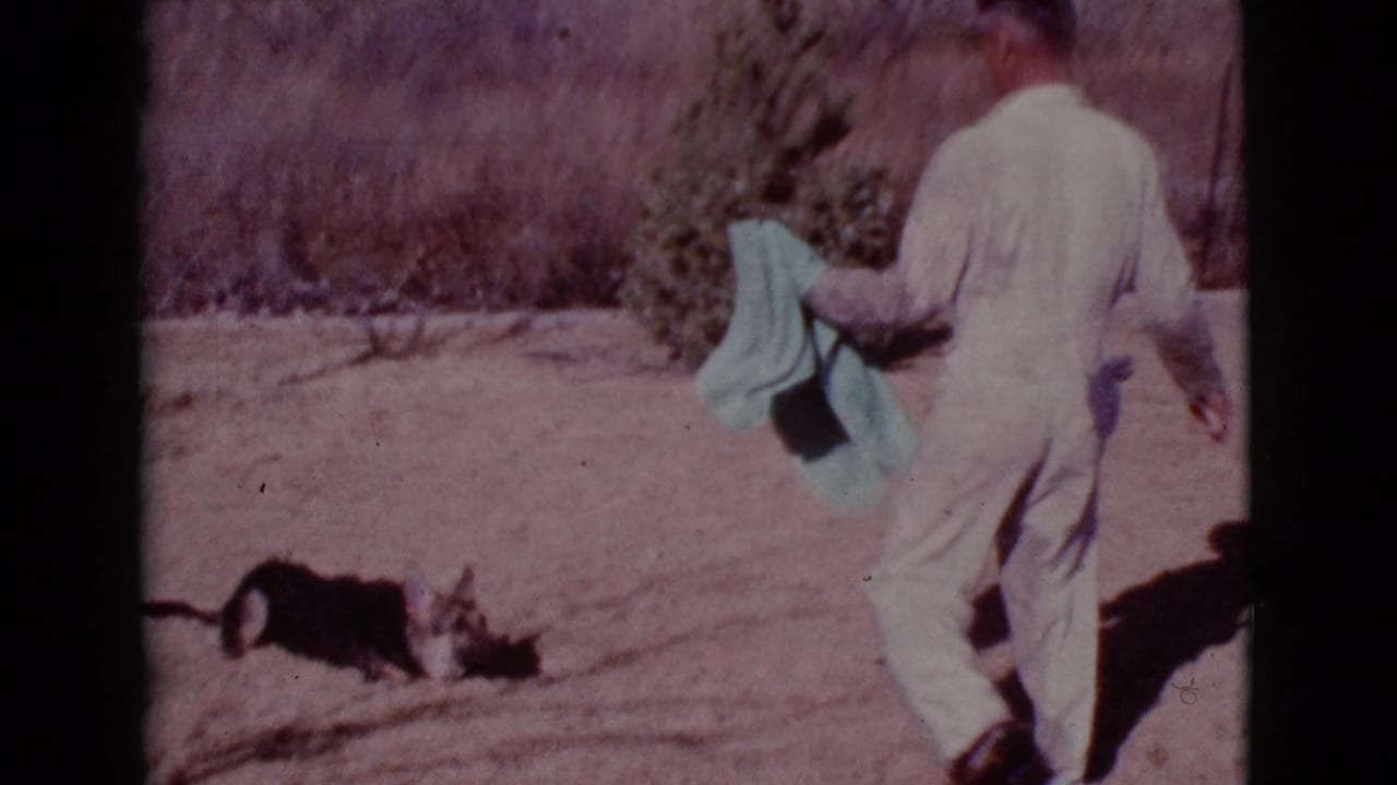 Man in pale coveralls walks toward a black and tan dog while holding a green towel in a dusty yard.