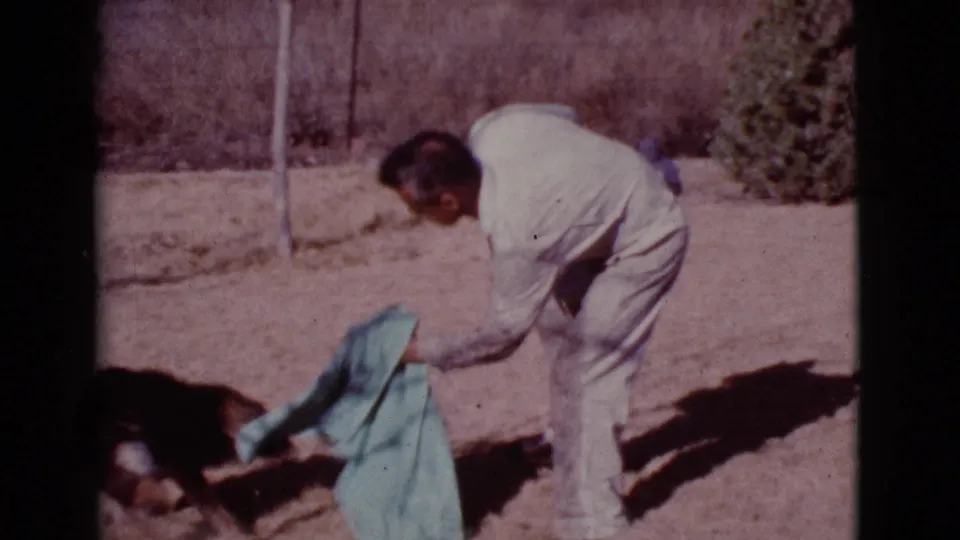 The man bends down with the towel toward the dog during the brief 1968 Cottonwood yard scene.