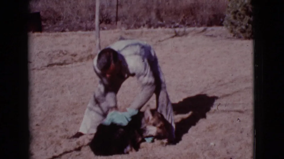The man continues drying the German Shepherd with a blue towel in a dry Cottonwood yard, with faded 8mm color and desert vegetation behind them.
