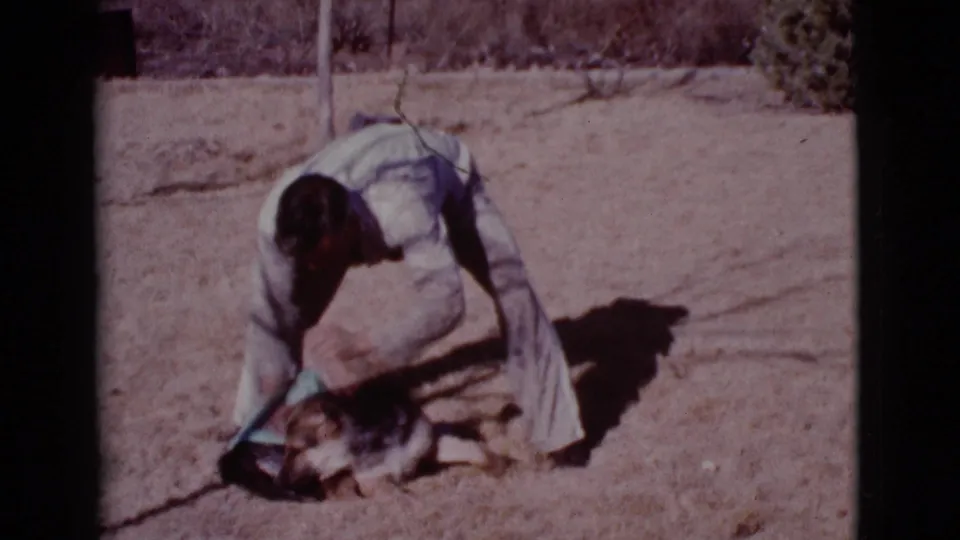 A man kneels beside a German Shepherd and blue towel in a sunlit dry yard, shown in 1968 Cottonwood, Arizona 8mm home-movie footage.