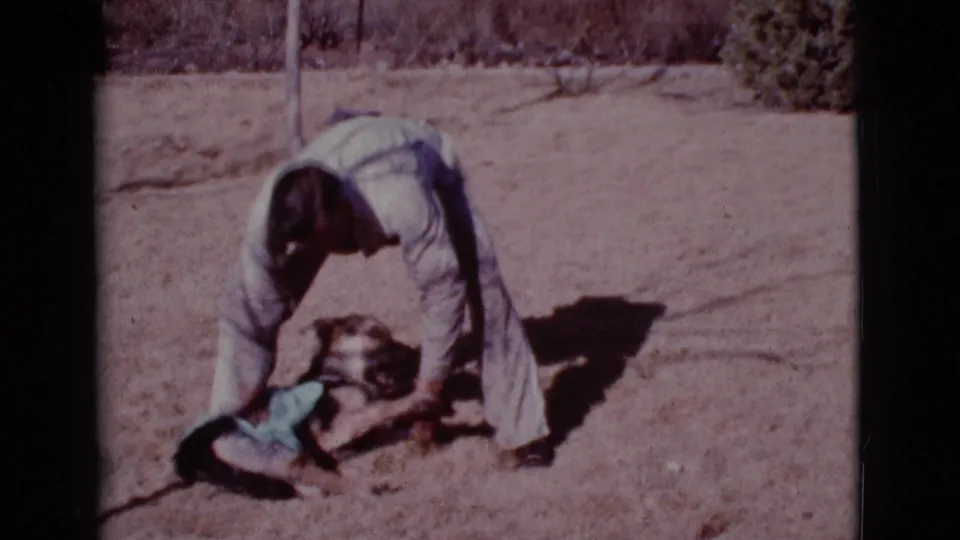 In 1968 Cottonwood, Arizona home-movie footage, a man bends toward a German Shepherd holding a green blanket on dry ground.