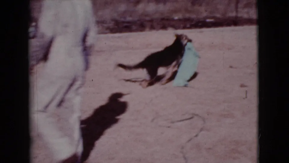 The German Shepherd runs with the green blanket across the dusty Cottonwood yard as a man moves partly across the frame.