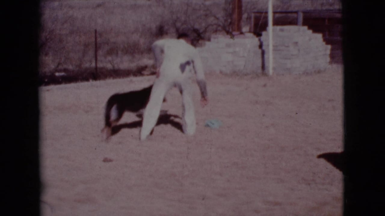 Man in white bends near a German Shepherd in a dusty yard.