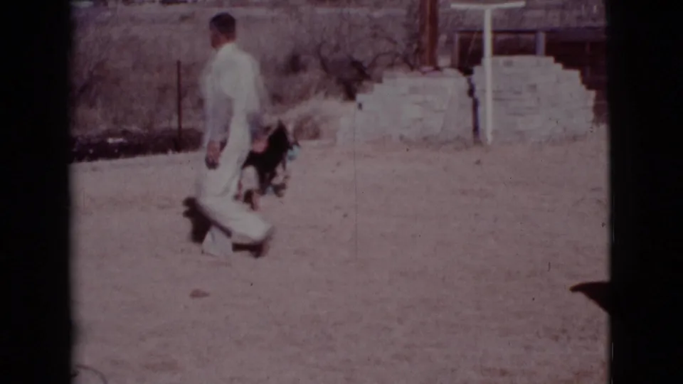 The man in white walks through the sunlit Cottonwood yard as the German Shepherd moves beside him.