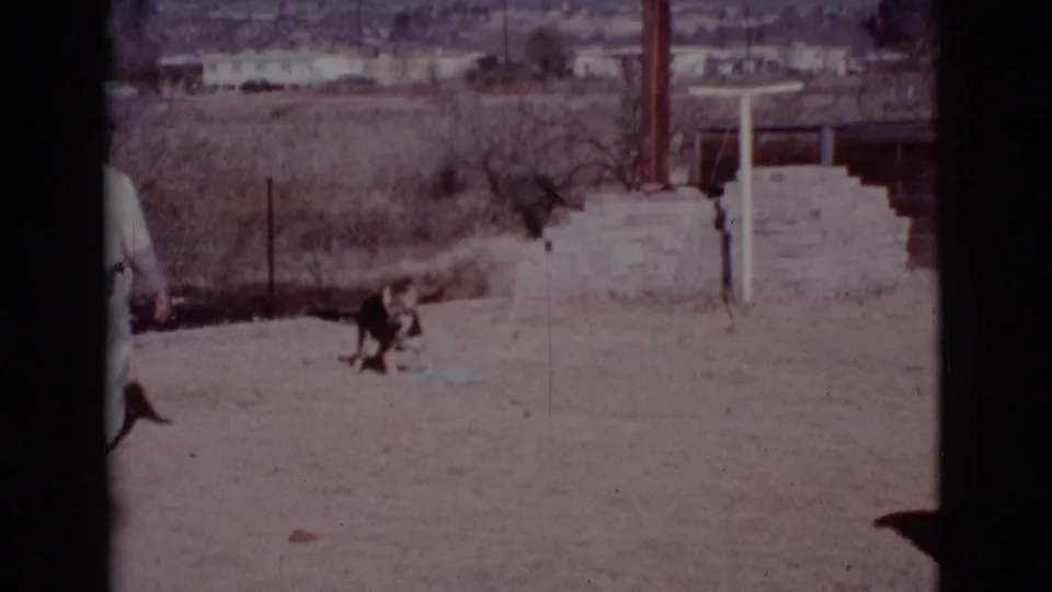 The German Shepherd remains in the dusty Cottonwood yard while the man is mostly cropped at the left edge of the 8mm frame.