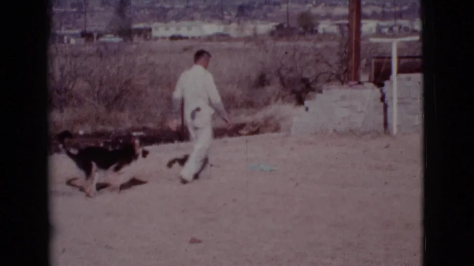 A German Shepherd runs across the arid Cottonwood yard toward the man in white during the fetch play.