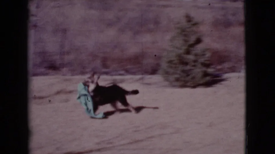 The dog runs across the dusty Cottonwood yard with the teal towel trailing beside it in grainy 8mm footage.