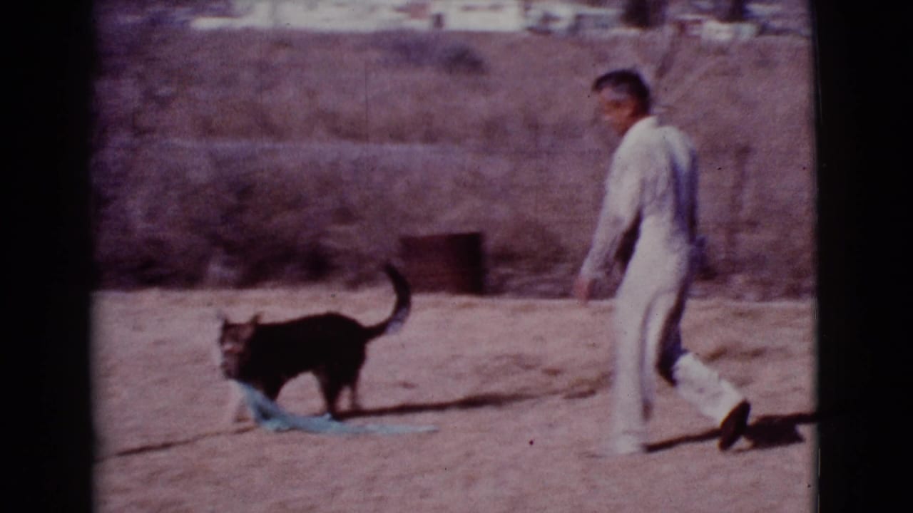 A large black-and-tan dog carries a teal towel as a man in light clothing walks behind it in a dusty yard.