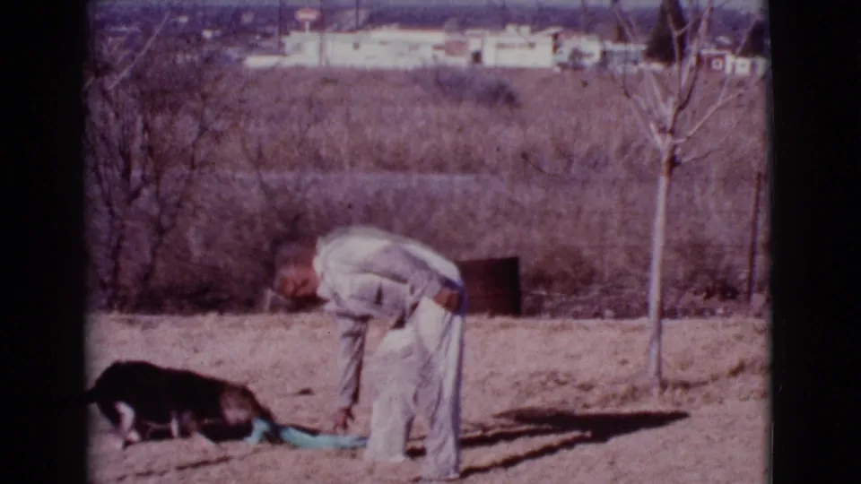 The 1968 Cottonwood, Arizona home movie shows the man bending toward the large dog as it keeps hold of the teal towel in the dry yard.