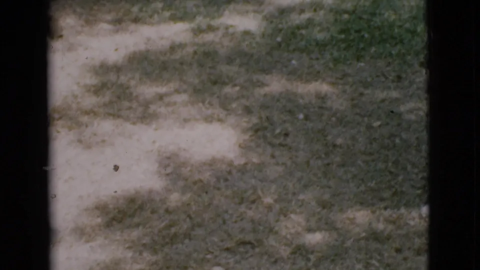 The final frame drifts to the yard, showing grass, shrubbery, shadows, and only a small partial glimpse of the woman at the edge.