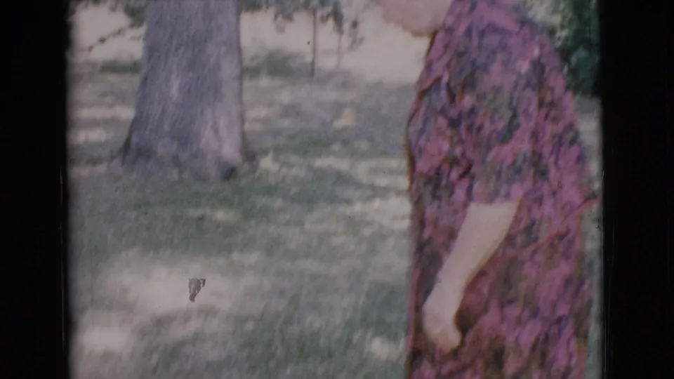 Adult woman in a rose floral dress bends near a tree trunk on a shaded Cottonwood lawn, filmed in soft 8mm color.