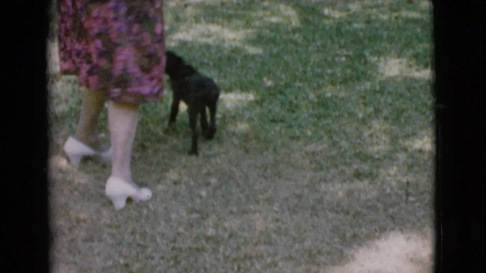 A woman in a purple floral dress and white heels walks on a lawn beside a small black puppy in 1968 Cottonwood home-movie footage.