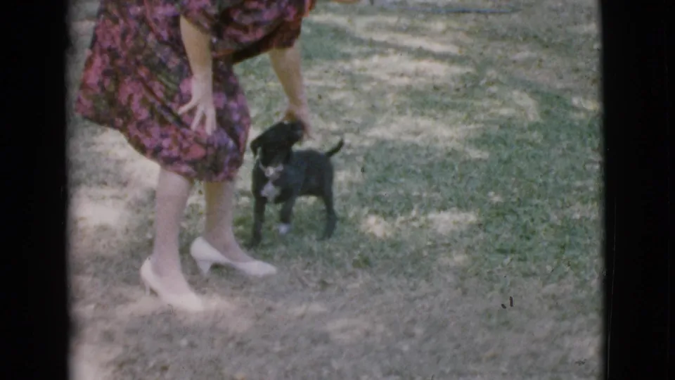 The woman bends down toward the small black puppy on a patchy lawn, with her floral dress and white heels visible.