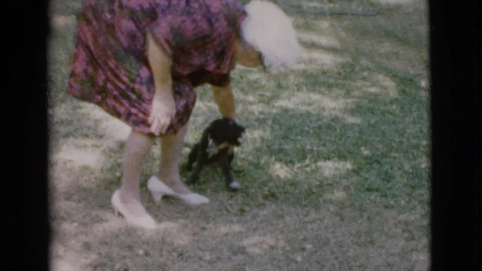 A woman in a floral dress bends near a small black puppy on a sun-dappled lawn in Cottonwood, Arizona 1968 footage.