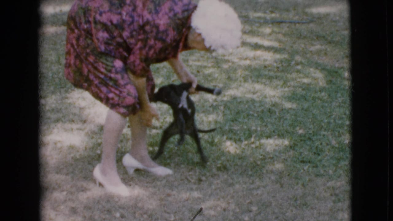Woman in a floral dress bends toward a small black puppy on grass.
