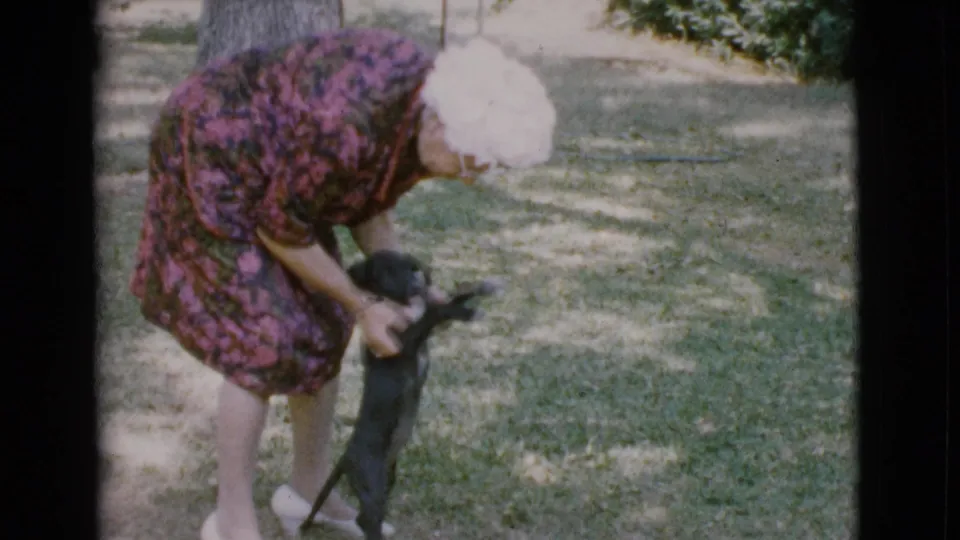 The woman bends over the puppy as it rises on its hind legs in the Cottonwood, Arizona yard scene.