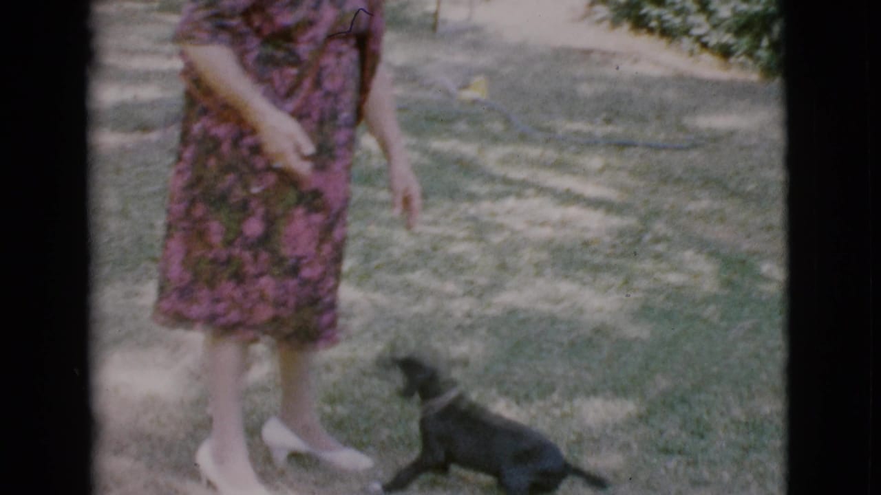 In Cottonwood, Arizona, 1968, a gray-haired woman in a floral dress and white heels stands as a small black puppy moves near her feet.