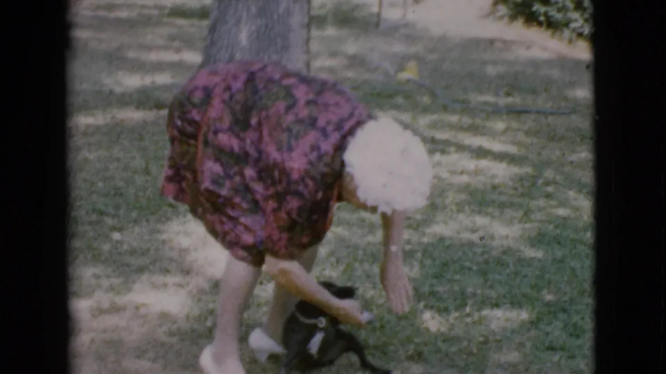 The gray-haired woman bends low in the 1968 backyard scene, reaching toward the small black puppy on the grass.