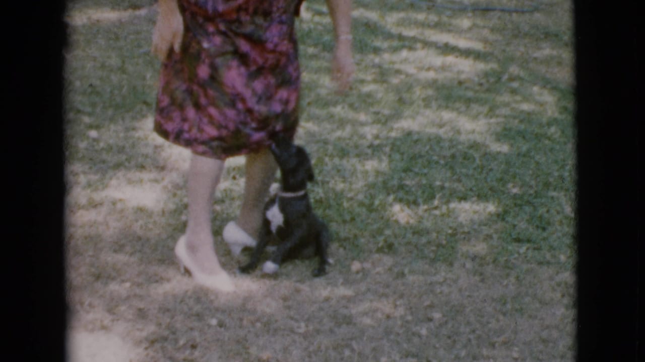 Black puppy sits beside a woman in a floral dress on a shaded lawn.