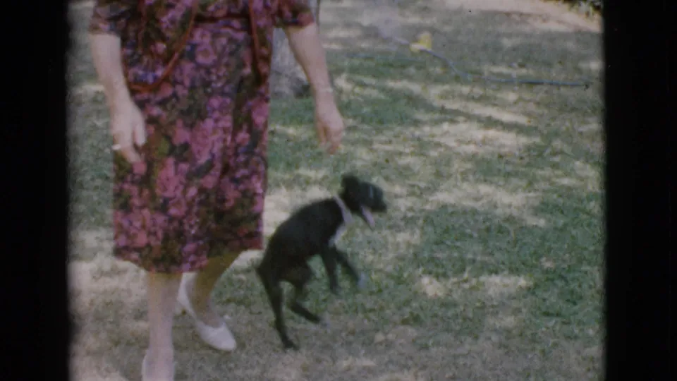 The black puppy moves beside the woman in a patterned dress in the Cottonwood backyard, filmed in soft 1968 8mm color.