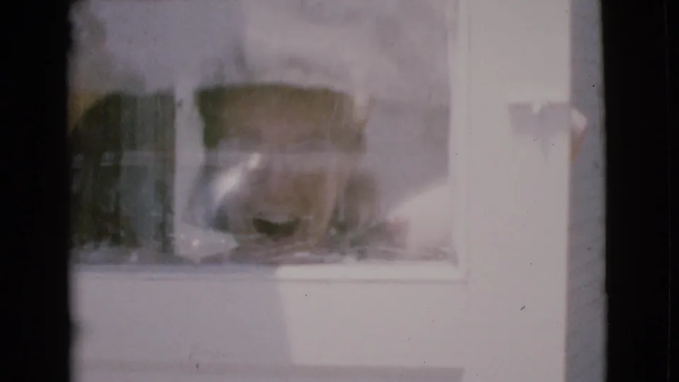Soft 8mm frame of a woman partly seen through a residence window in Cottonwood, Arizona.