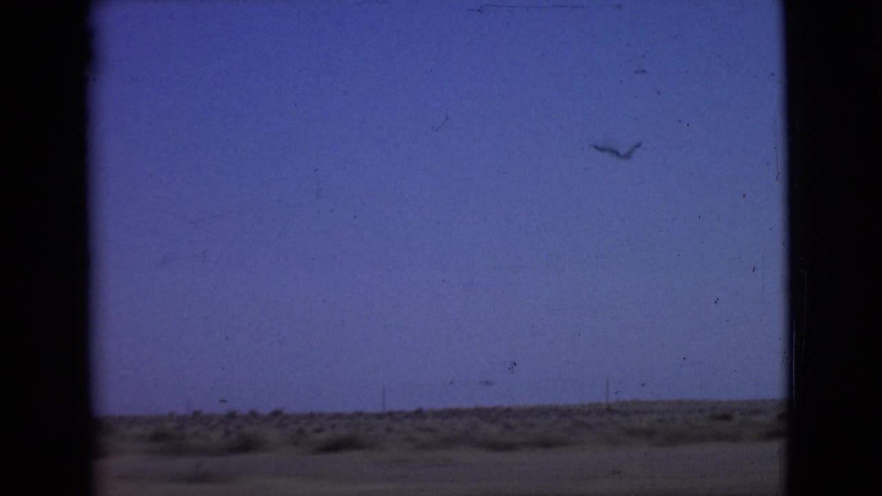 Dark car-window frame over blue sky and low desert scrub horizon.