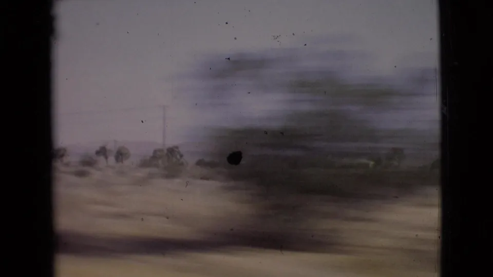 Passenger-view 8mm frame from a moving car, with a blurred tree crossing dry San Diego County roadside terrain.